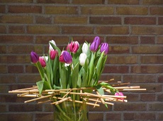 Tulpen in Museum Nagele.jpg